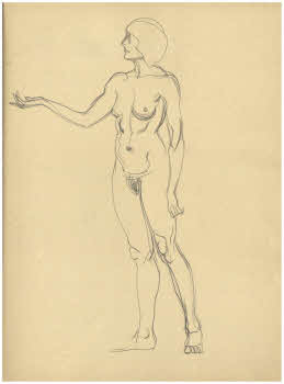 Visualizza l'immagine "FD Album 12, 19 v."